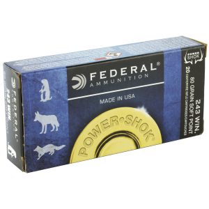 FED PWRSHK 243WIN 80GR SP 20/200
