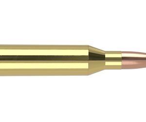 NOSLER TG 243WIN 100GR PT 20/200