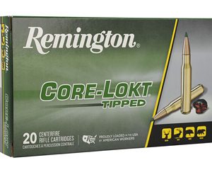 REM 300 WIN MAG 180GR CL TIP 20/200
