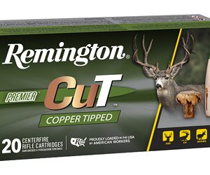 REM PRMRCUT CPR 300WIN 180GR 20/200