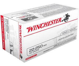 WIN USA 22-250 REM 45GR JHP 40/400