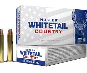 NOSLER 45-70 GOVT 300GR SW 20/200