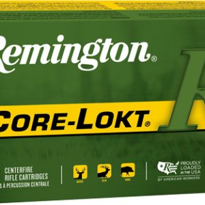 REMINGTON 450 BM 300GR