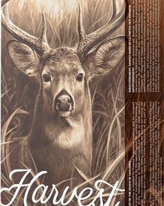 BARNES HARVEST 300 WM 180GR