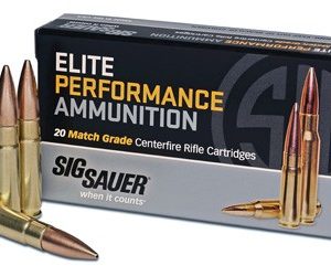 SIG 300 AAC 220GR ELITE MATCH