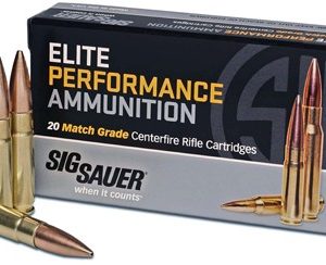 SIG 308 WIN 175GR OTM