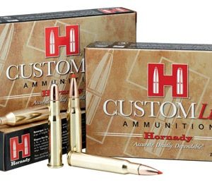 HORNADY CUSTOM LITE 243 WIN