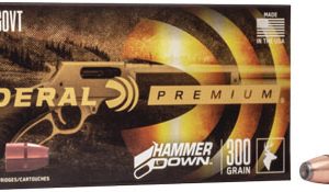 FEDERAL HAMMER DOWN 45-70 GOV