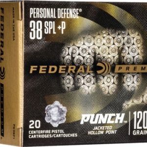 FEDERAL PUNCH 38 SPECIAL
