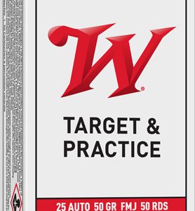 WINCHESTER USA 25 ACP 50GR