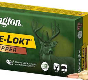 REMINGTON 300 WIN MAG 180GR