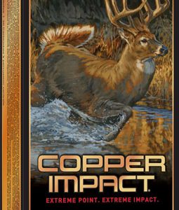 WINCHESTER COPPER IMPACT 300