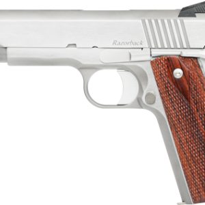 CZ DAN WESSON RAZORBACK 10MM