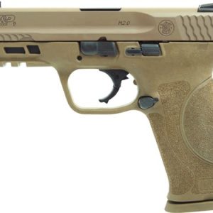 S&W M&P9 M2.0 9MM 4.25" TRUGLO