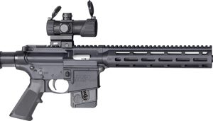 S&W M&P15-22 SPORT OR 22LR