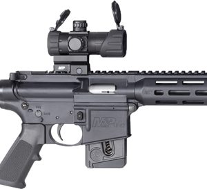 S&W M&P15-22 SPORT OR 22LR