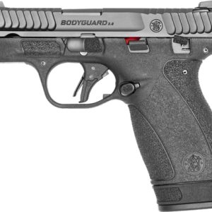 S&W BODYGUARD 2.0 380ACP 2.75"