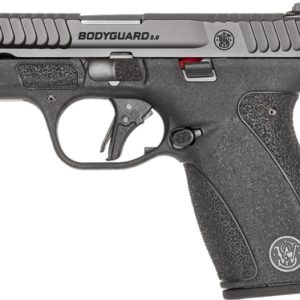 S&W BODYGUARD 2.0 380ACP 2.75"