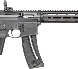 S&W M&P15-22 SPORT 22LR 16.5"