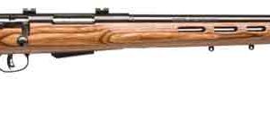 SAVAGE 25LW VARMINTER-T 22HORN