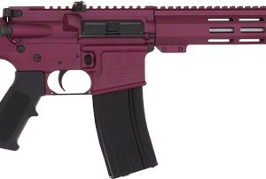 GLFA AR15 RIFLE 223 WYLDE