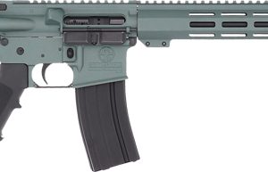 GLFA AR15 RIFLE 223 WYLDE
