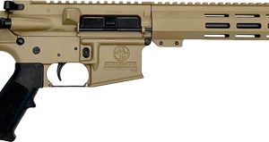 GLFA AR15 RIFLE 223 WYLDE