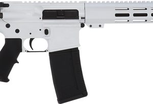 GLFA AR15 RIFLE 223 WYLDE