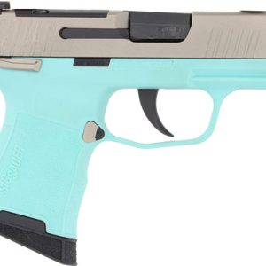 SIG P365 MIC COMP 380ACP 3.1"