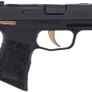 SIG P365 ROSE 380ACP XRAY-3