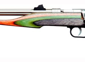 CHIPMUNK PISTOL HUNTER 22WMR