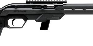 SAVAGE 64 PRECISION 22LR 10RD
