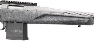 RUGER AMERICAN GENII 204 RUGER