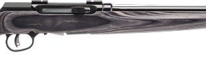 SAVAGE A17 17HMR HVY BBL 22"