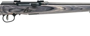 SAVAGE A17 17HMR SPORTER 22"