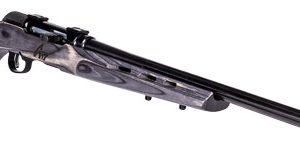 SAVAGE A17 17WSM HVY BBL 22"