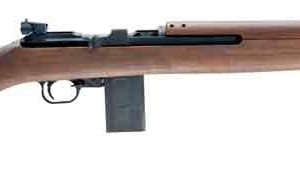 CHIAPPA M1-22 22LR