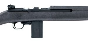 CHIAPPA M1-22 22LR
