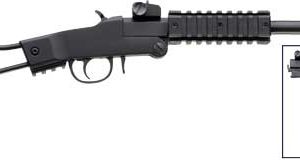 CHIAPPA LITTLE BADGER 22LR