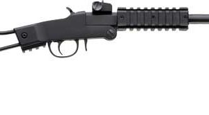 CHIAPPA LITTLE BADGER 22WMR