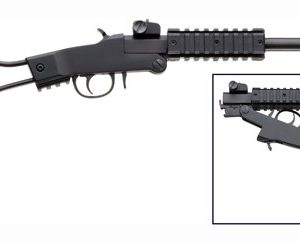 CHIAPPA LITTLE BADGER 17HMR