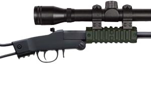 CHIAPPA LITTLE BADGER 22LR