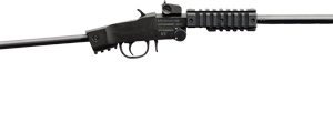 CHIAPPA LITTLE BADGER 22LR