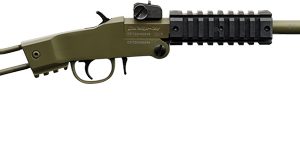 CHIAPPA LITTLE BADGER 22LR