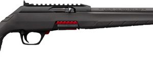 WINCHESTER WILDCAT 22LR 18"