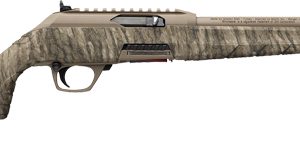 WINCHESTER WILDCAT 22LR 18"