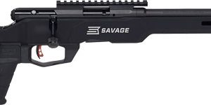 SAVAGE B22 PRECISION 22LR 18"
