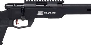 SAVAGE B22 PRECISION 22WMR 18"