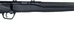 SAVAGE B17F 17HMR 21" SPORTER