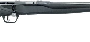 SAVAGE B17FVSS 17HMR 21" S/S